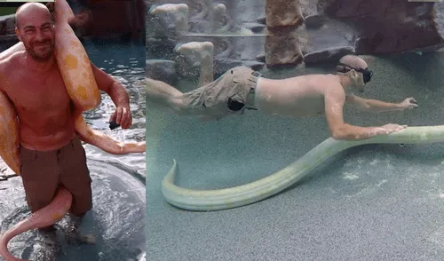 YouTube viral: arriesgado hombre se zambulle con enorme serpiente dentro de piscina [VIDEO]