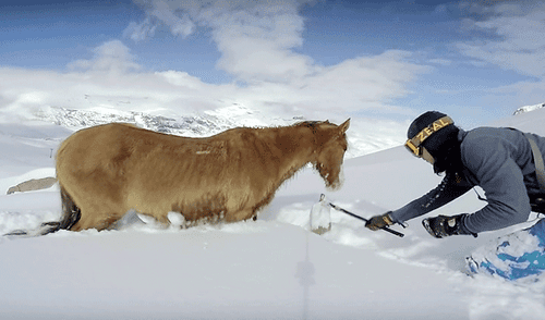 YouTube viral: caballo quedó atrapado en la nieve y montañistas realizaron increíble rescate [VIDEO]