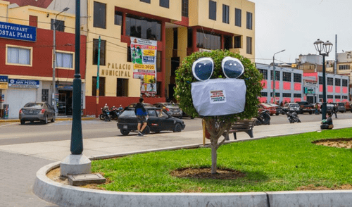 Colocan mascarillas a árboles en Chimbote.
