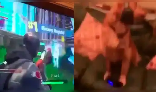 Facebook: perro juega Fortnite con su dueño y no creerás lo bien que lo hace [VIDEO]