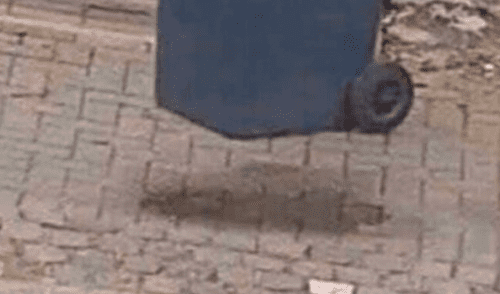 tacho de basura flotando