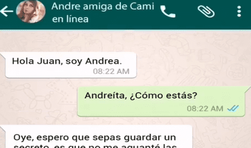 En WhatsApp: su novia se entera que coqueteó con otra chica y le dice esto