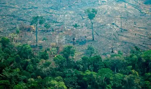 Cada año, los agricultores incendian el bosque amazónico para despejar as tierras. Foto: AFP.