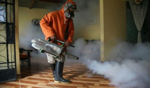 Ministra de salud pide unión para vencer el dengue