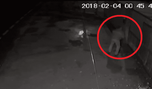 España: Sujeto lanza a su perra preñada por encima de una valla de seguridad España: Sujeto lanza a su perra preñada por encima de una valla de seguridad