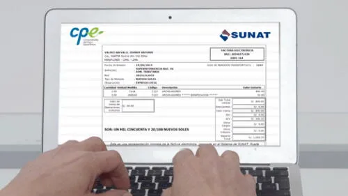 Operadores de servicios electrónicos.