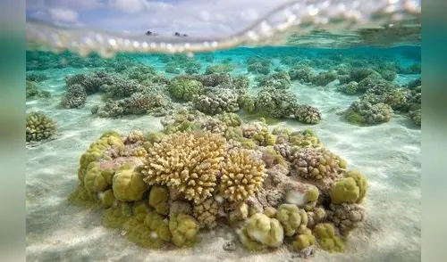 ¡Terrible amenaza a una joya del Amazonas!