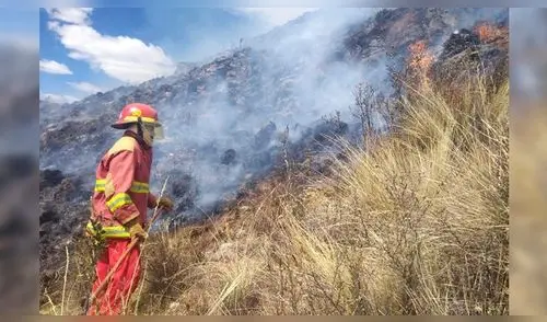 Incendios forestales arrasan más de 50 hectáreas de pastos naturales en Cusco Incendios forestales arrasan más de 50 hectáreas de pastos naturales en Cusco