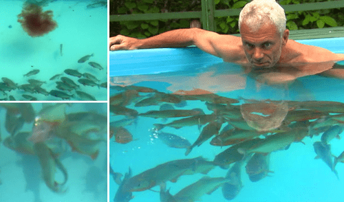 YouTube viral: aventurero se sumerge en piscina de pirañas asesinas y resultado causa asombro [VIDEO]