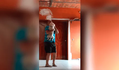 Desliza a la izquierda para conocer la escena que ha conmovido a los usuarios de Facebook. Foto: Captura. Perrito