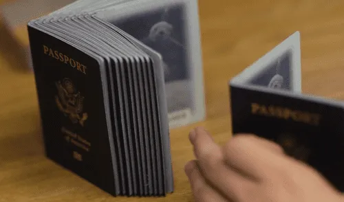 Visa F-1
