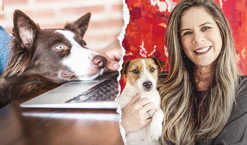 Para hacer uso del servicio web, el propietario tendrá que registrar el perfil de la mascota. Foto: Mike al rescate Mike te cuida, la primera plataforma virtual de atención para mascotas en Perú