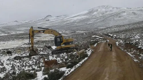 Heladas afectan cuatro distritos de Moquegua [FOTOS]