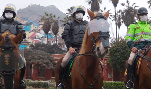 Uso de caballos en protestas no es efectivo ni ético como forma de disuasión en protestas. Foto: Policía Montada Uso de caballos en protestas no es efectivo ni ético como forma de disuasión en protestas. Foto: Policía Montada