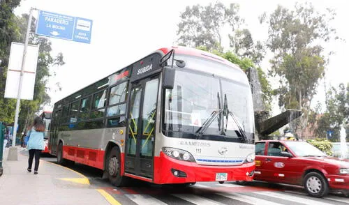 Concesionario de ruta Javier Prado alquiló buses a presunto “lavador”