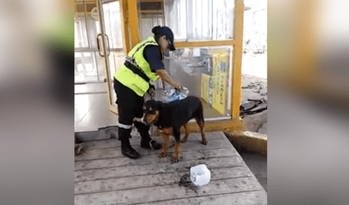 Facebook viral: sereno peruana echa agua a perro sofocado por calor extremo [VIDEO]