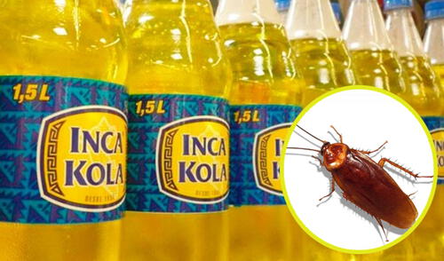 Familia interpuso denuncia a Inca Kola por encontrar un insecto en su bebida.