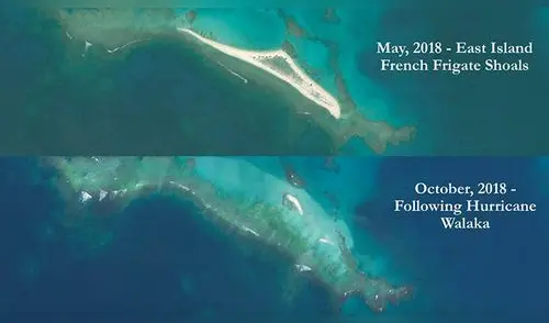 Hawai: huracán Walaka aniquiló isla que era vital refugio ecológico [VIDEO]