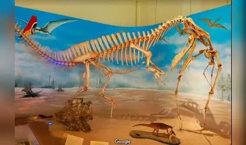 Google Maps: así lucía en Museo Nacional de Río de Janeiro antes del incendio [FOTOS]