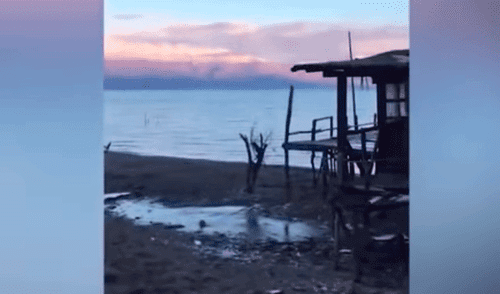 YouTube: Extraña aparición de criatura idéntica al 'monstruo del lago Ness' YouTube: Extraña aparición de criatura idéntica al 'monstruo del lago Ness'