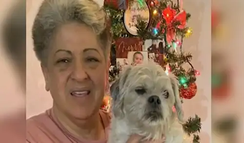 Desliza las imágenes para conocer más detalles sobre este emotivo reencuentro que emocionó a miles de usuarios. Foto: captura de YouTube YouTube viral: Robaron su auto con su perrita dentro y se emociona al reencontrase con ella