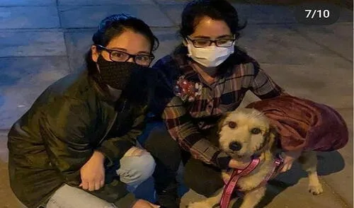 lola rescatada lola rescatada