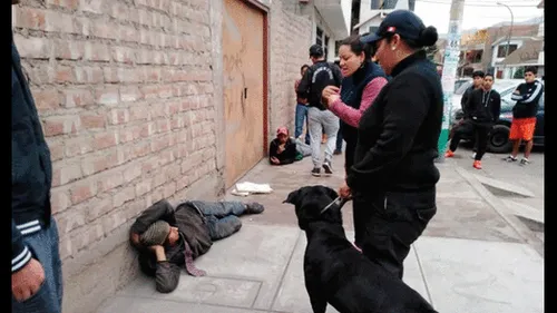 Brigada canina Brigada canina