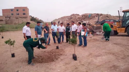Lambayeque: realizan campaña de limpieza y siembran 50 plantones Lambayeque: realizan campaña de limpieza y siembran 50 plantones