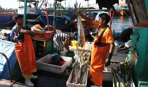 Congreso intenta prolongar los beneficios de las empresas pesqueras