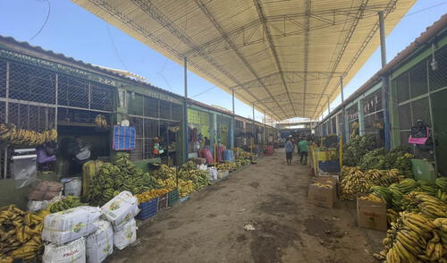 los lunes y jueves ingresan y salen un aproximado de 800 camiones con carga de productos de todos los rubros.