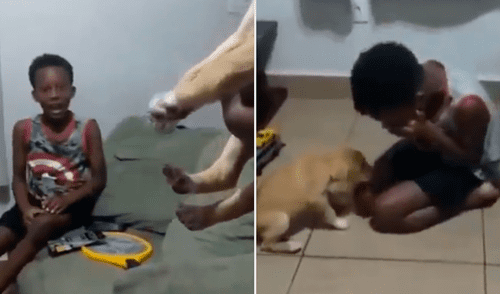 Desliza para ver los momentos más emotivos del video viral de YouTube. Perro y niño