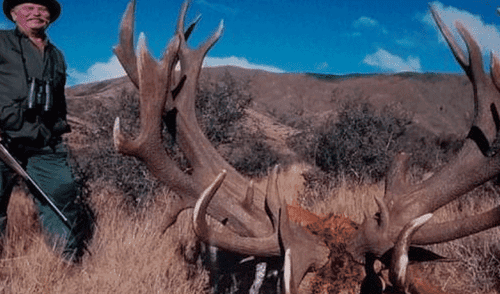 Intentaba cazar a un león y murió de forma inesperada