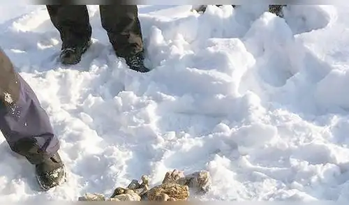 De horror: hallan bolsa con 27 pares de manos en una isla de Siberia [FOTO]