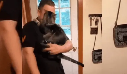 YouTube viral: Perro le da amorosa bienvenida a su dueño y protagoniza conmovedora escena [VIDEO]