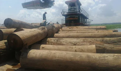 Trazabilidad de la madera: mecanismos para un desarrollo sostenible