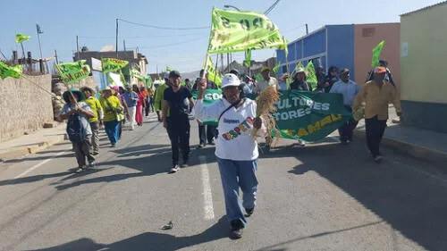 Paro en Islay para recordar consulta por Tía María