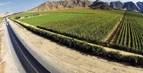 Agroexportadoras deben a Chavimochic S/12 millones