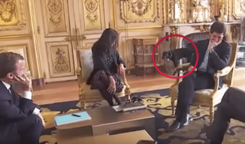 YouTube: la travesura de la mascota del presidente de Francia que fue transmitida en vivo [VIDEO]