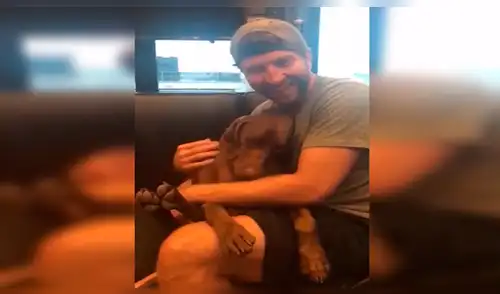 Facebook viral: hombre le canta todas las noches a su perro y este tiene amorosa reacción [VIDEO]