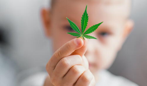Entre 2017 a 2021, más de 7040 niños estuvieron expuestos al cannabis. Foto: Medical cannabis news