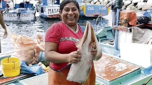 PESCADORES MATARANI 