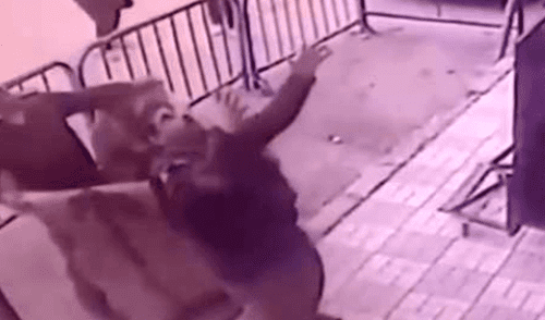YouTube: el instante en que policías salvaron a niño que cayó de tercer piso [VIDEO]