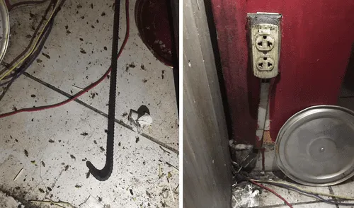 Cajamarca: hallan cucarachas y cables expuestos en conocida panadería Cajamarca: hallan cucarachas y cables expuestos en conocida panadería