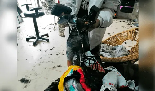 Sujetos se llevaron todo a su paso.