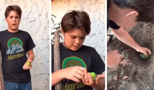 Facebook Viral: niño quiere enterrar a su cotorra muerta, pero su perro aparece y lo arruina todo [VIDEOS]