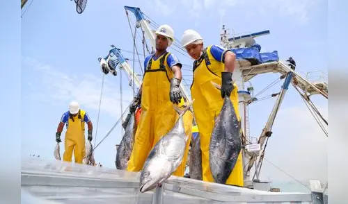 Pesca impulsó crecimiento de manufactura de 2% en junio