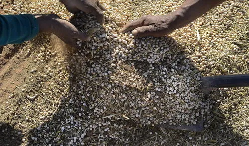 Agroexportaciones: meta al 2021 es superar los US$ 10 mil millones