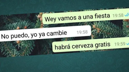 WhatsApp: fue invitado a una fiesta con alcohol gratis y dio una respuesta épica