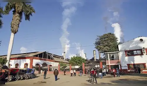 Entidades públicas y privadas adeudan S/380 millones a EsSalud