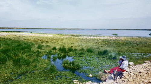 Southern y pastores de cabras enfrentados por humedales de Ite